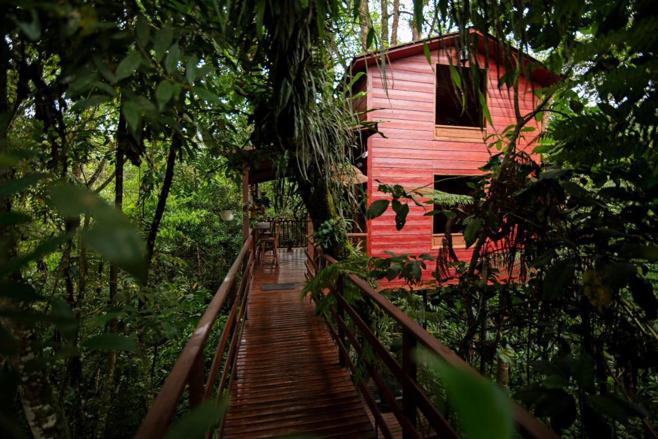 Tominejo Ecolodge - Casas En Los Arboles Neira Kültér fotó