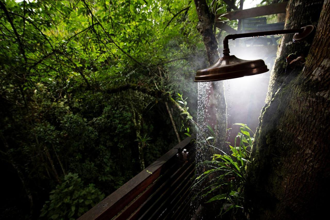 Tominejo Ecolodge - Casas En Los Arboles Neira Kültér fotó