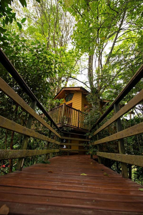Tominejo Ecolodge - Casas En Los Arboles Neira Kültér fotó