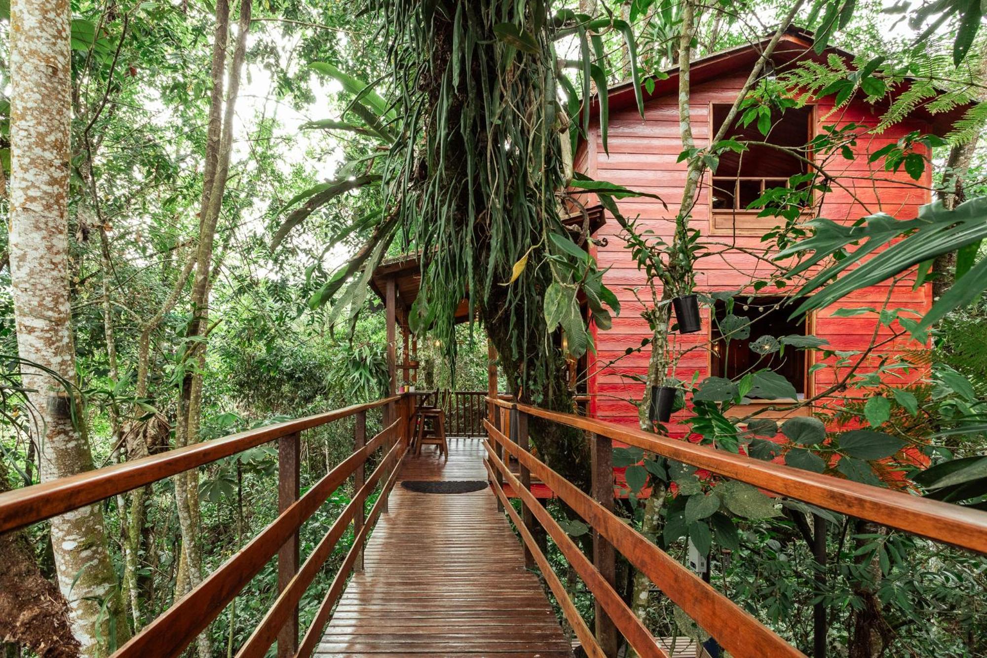 Tominejo Ecolodge - Casas En Los Arboles Neira Kültér fotó