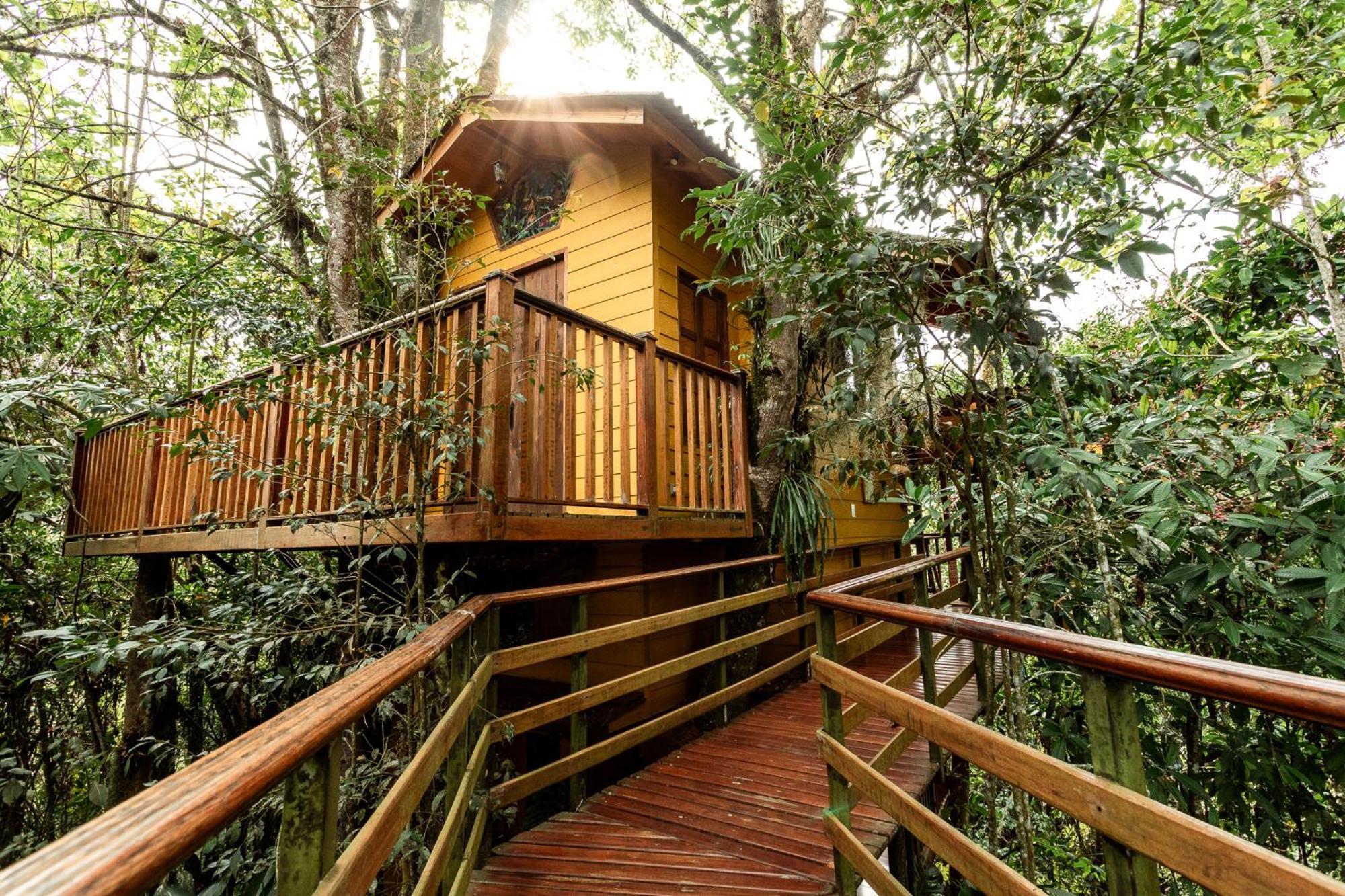 Tominejo Ecolodge - Casas En Los Arboles Neira Kültér fotó