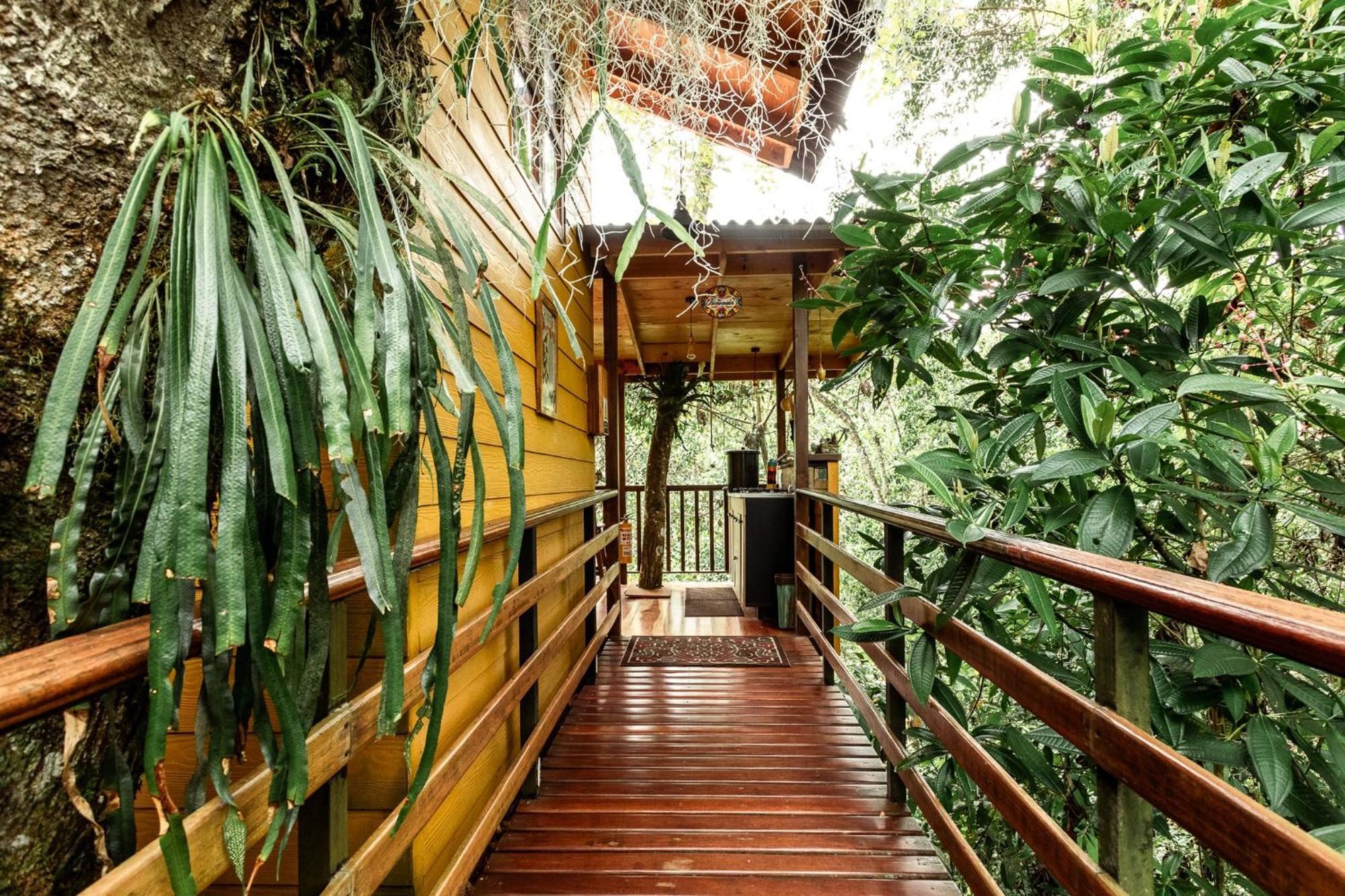 Tominejo Ecolodge - Casas En Los Arboles Neira Kültér fotó