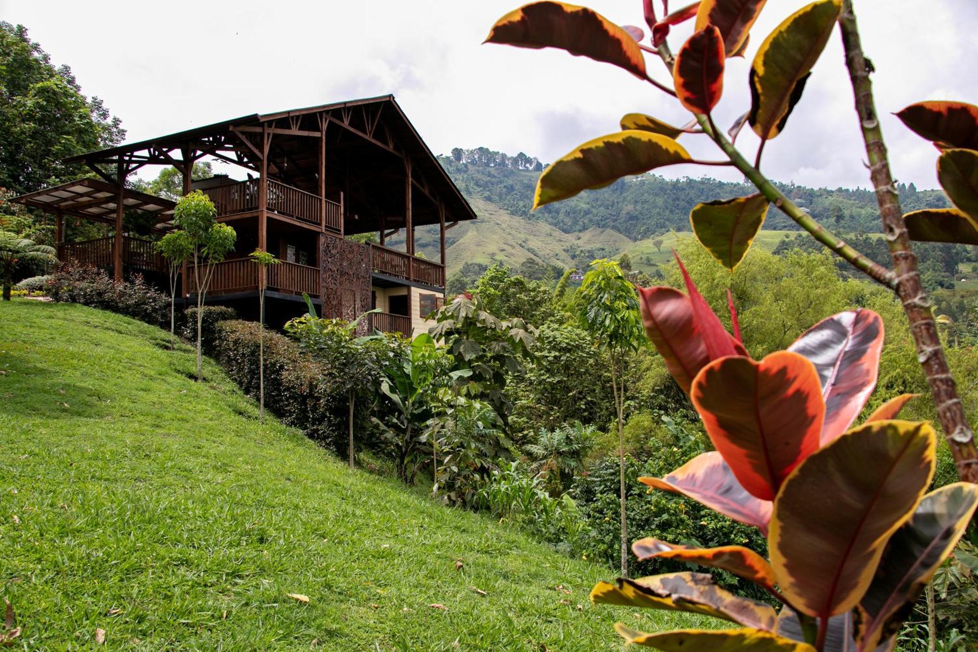 Tominejo Ecolodge - Casas En Los Arboles Neira Kültér fotó